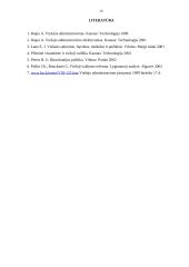 Viešojo ir privataus sektoriaus skirtumai 16 puslapis