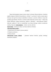 Viešojo ir privataus sektoriaus skirtumai 3 puslapis