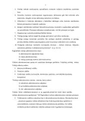 Viešojo ir privataus sektoriaus skirtumai 5 puslapis