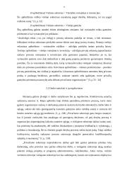 Viešojo ir privataus sektoriaus skirtumai 9 puslapis