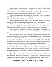 Viešojoje kalboje pasitaikančios klaidos 2 puslapis