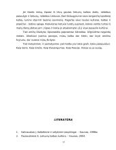 Viešojoje kalboje pasitaikančios klaidos 13 puslapis