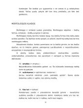 Viešojoje kalboje pasitaikančios klaidos 10 puslapis