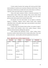 Virškinimo sistemos senėjimas. Vyresnio amžiaus žmonių mityba ir mitybos rekomendacijos 20 puslapis