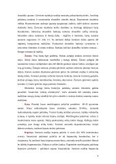 Virškinimo sistemos senėjimas. Vyresnio amžiaus žmonių mityba ir mitybos rekomendacijos 4 puslapis