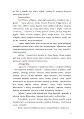 Virškinimo sistemos senėjimas. Vyresnio amžiaus žmonių mityba ir mitybos rekomendacijos 6 puslapis