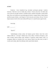 Viršsvoris ir nutukimas 3 puslapis