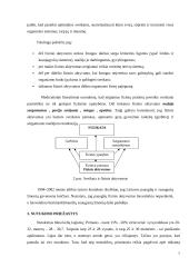 Viršsvoris ir nutukimas 7 puslapis