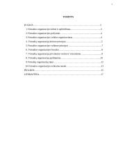 Virtualios organizacijos 2 puslapis