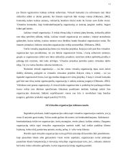 Virtualios organizacijos 14 puslapis