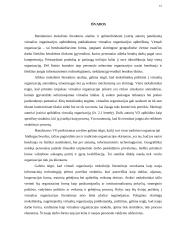 Virtualios organizacijos 16 puslapis