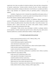 Virtualios organizacijos 6 puslapis