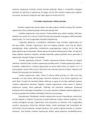 Virtualios organizacijos 8 puslapis