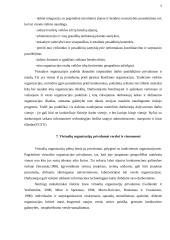 Virtualios organizacijos 10 puslapis