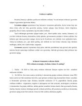 Visuomenės sveikatos sąvoka 4 puslapis