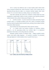 Vytautas Andrius Graičiūnas 17 puslapis