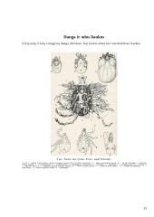 Vorų ir erkių biologija ir fiziologija 12 puslapis