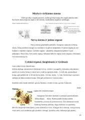 Vorų ir erkių biologija ir fiziologija 13 puslapis