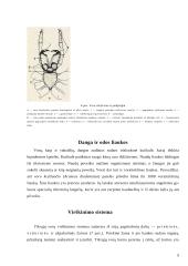 Vorų ir erkių biologija ir fiziologija 4 puslapis