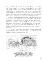 Vorų ir erkių biologija ir fiziologija 5 puslapis