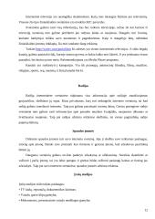 Žiniasklaidos įmonių elektroninis verslas 12 puslapis