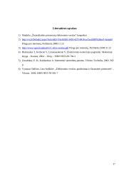 Žiniasklaidos įmonių elektroninis verslas 17 puslapis