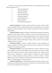 Žiniasklaidos įmonių elektroninis verslas 7 puslapis