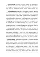 Žiniasklaidos įmonių elektroninis verslas 8 puslapis