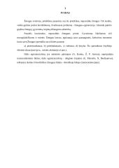 Žmogaus gyvenimo ir mirties prasmė 3 puslapis