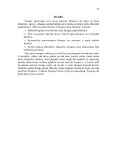 Žmogaus laisvės ribojimas 15 puslapis