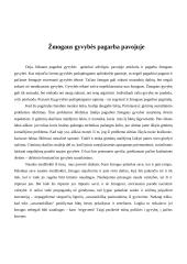 Žmogaus likimas technikos amžiuje 9 puslapis