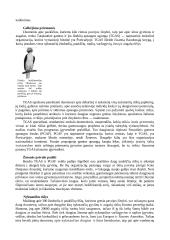 Žmogaus poveikis gamtai 3 puslapis