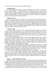 Žmogaus poveikis gamtai 5 puslapis