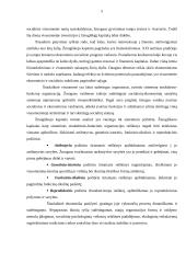 Žmogiškojo kapitalo vaidmuo šiuolaikinėje ekonomikoje 5 puslapis