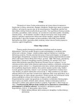 Žmogiškųjų santykių koncepcija 3 puslapis