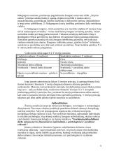 Žmogiškųjų santykių koncepcija 6 puslapis