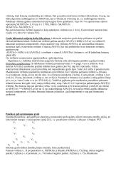 Algoritmų teorija su pavyzdžiais 13 puslapis