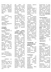 Ontologija filosofijos istorijoje 5 puslapis