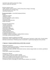 Išsamus pasiruošimas finansų egzaminui 2 puslapis