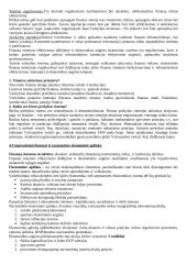 Išsamus pasiruošimas finansų egzaminui 4 puslapis