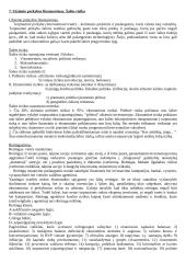 Išsamus pasiruošimas finansų egzaminui 6 puslapis