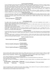 Finansų analizės esmė ir reikšmė 8 puslapis