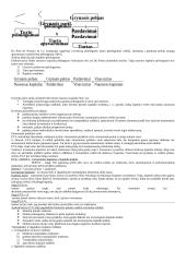 Finansų analizės esmė ir reikšmė 9 puslapis