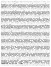 Įmonės strateginio valdymo medžiaga egzaminui 2 puslapis