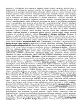 Pasiruošimas komunikacijos egzaminui 3 puslapis