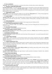 Mikroekonomikos klausimai 6 puslapis