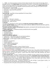 Teisės sąvokų pradmenys