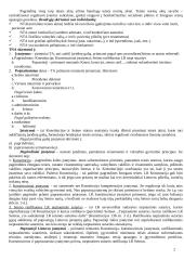 Teisės sąvokų pradmenys 2 puslapis