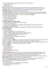 Teisės sąvokų pradmenys 11 puslapis