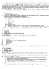 Teisės sąvokų pradmenys 3 puslapis